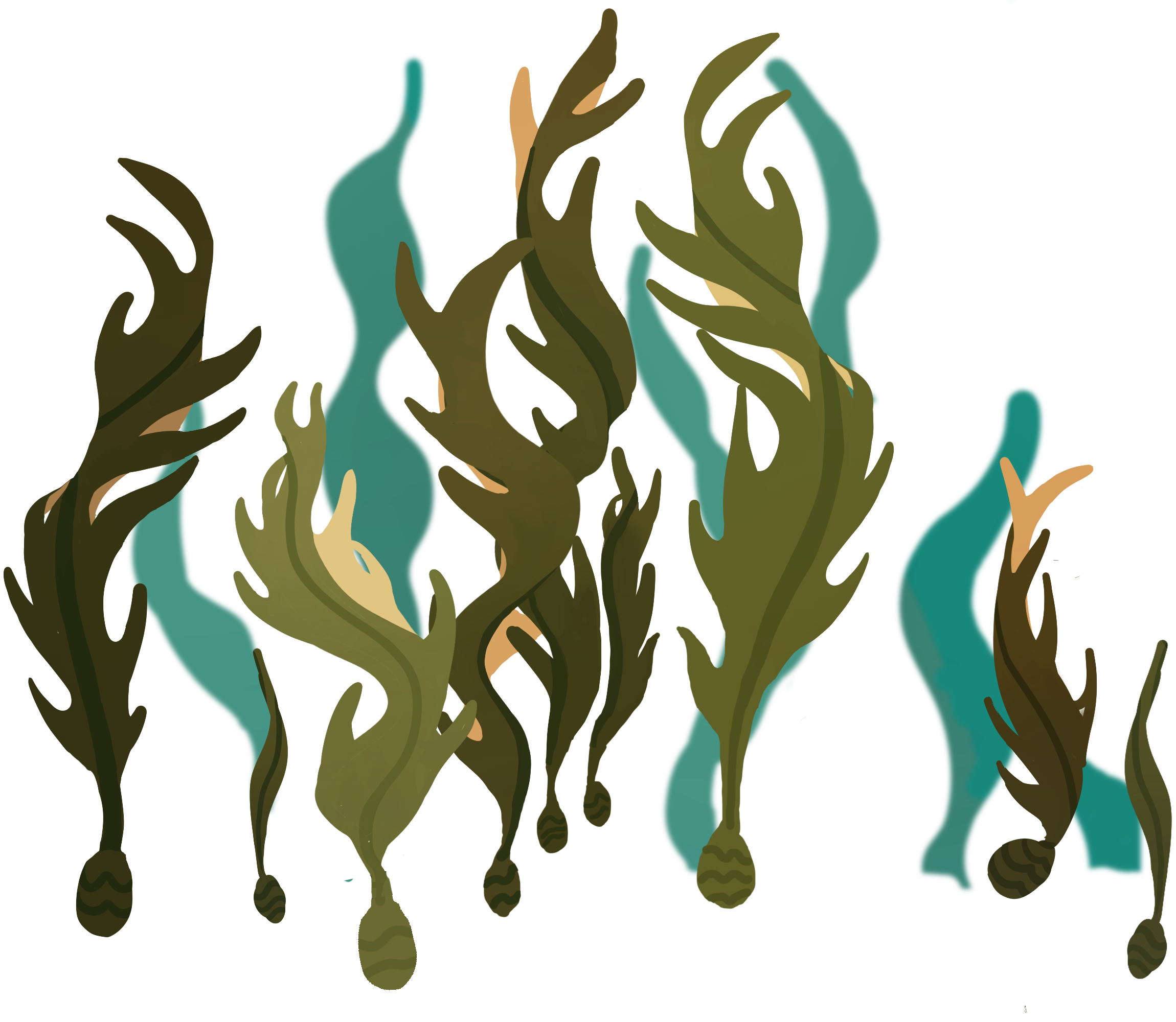 seaweed